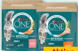 REWE Center Purina One Katzentrockennahrung Angebot