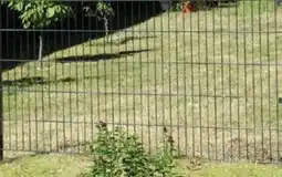 Globus Baumarkt Doppelstabmatte Angebot