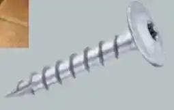 Globus Baumarkt Pfostenschrauben Angebot