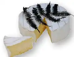 Scheck-in-Center Fougerus Weichkäse Angebot