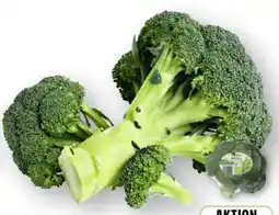 Edeka Edeka Bio Brokkoli Angebot