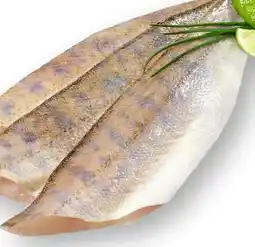 Scheck-in-Center Zanderfilets Angebot