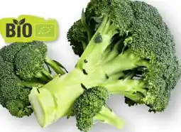 Scheck-in-Center Bio Brokkoli Angebot