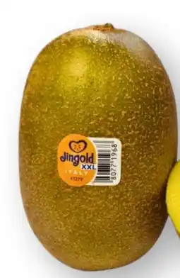 Scheck-in-Center Jingold Kiwi Gold Jumbo Angebot