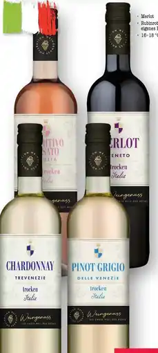 Scheck-in-Center Wein-Genuss Chardonnay Angebot