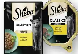Scheck-in-Center Sheba Katzennahrung Angebot