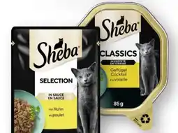 Edeka Sheba Katzensuppe Angebot