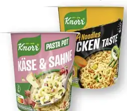 Scheck-in-Center Knorr Pasta Snack Pot Angebot