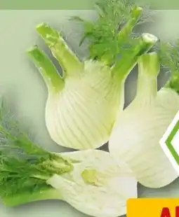 REWE Rewe Bio Bio-Fenchel Angebot