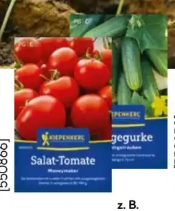 Hellweg Kiepenkerl Saatgut Angebot