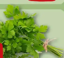 REWE Rewe Beste Wahl Glatte Petersilie Angebot