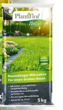 Hellweg Plantiflor Rasendünger Angebot