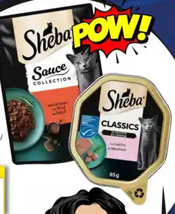 EDEKA Bandelt Sheba Katzennassnahrung Angebot