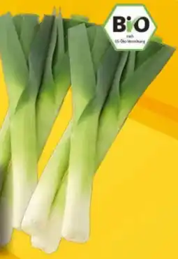 EDEKA Bandelt Bio Porree Angebot