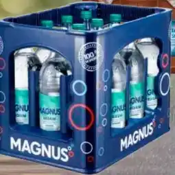 Edeka Wittenseer Quelle Mineralwasser Angebot