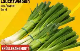 EDEKA Bandelt Lauchzwiebeln Angebot