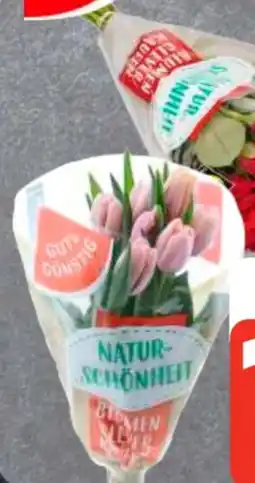 Edeka Frischemarkt Gut & Günstig Moosrosen Angebot