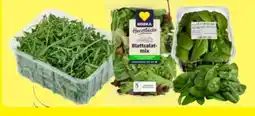 Edeka Edeka Herzstücke Pflücksalat Angebot