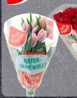 Edeka Gut & Günstig Moosrosen Angebot