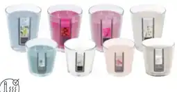 Mömax Duftkerze Lisa Angebot