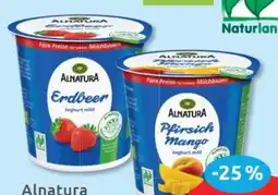 Budni Alnatura Bio Fruchtjoghurt Angebot