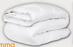 PENNY Emma Essentials Steppbett Angebot