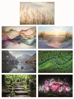 Mömax Leinwandbild Harald Angebot