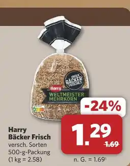 Combi Harry weltmeister mehrkorn Angebot