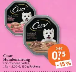 tegut Cesar hundenahrung Angebot