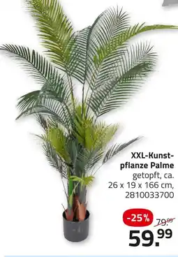 ROLLER Xxl-kunstpflanze palme Angebot