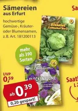 Sonderpreis Baumarkt Sämereien aus Erfurt Angebot