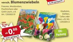 Sonderpreis Baumarkt versch. Blumenzwiebeln Angebot