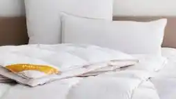 Lidl Balette deLuxe Gänsefeder/ Daunen Kopfkissen Angebot