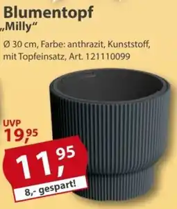 Sonderpreis Baumarkt Blumentopf ,,Milly" Angebot