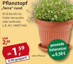 Sonderpreis Baumarkt Pflanztopf ,,Terra" rund Angebot