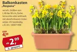 Sonderpreis Baumarkt Balkonkasten ,,Respana" Angebot