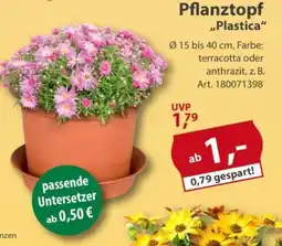 Sonderpreis Baumarkt Pflanztopf ,,Plastica" Angebot