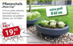 Sonderpreis Baumarkt Pflanzschale ,,Maze Cup" Angebot