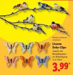 Lidl Livarno Deko-Clips Angebot