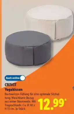 Lidl CRIVIT Yogakissen Angebot