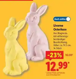Lidl Livarno Osterhase Angebot