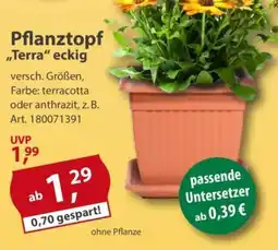 Sonderpreis Baumarkt Pflanztopf ,,Terra" eckig Angebot