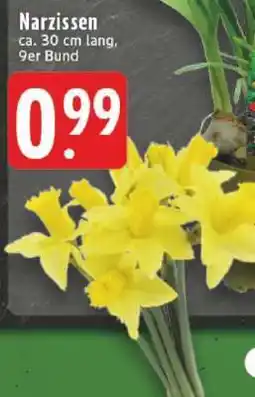 Edeka Narzissen Angebot