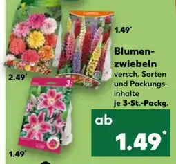 Kaufland Blumenzwiebeln Angebot