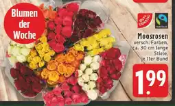 Edeka Moosrosen Angebot