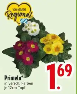 Edeka Primeln Angebot