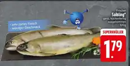 Edeka Frischer Saibling Angebot