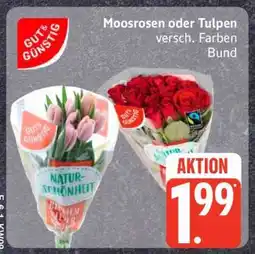 Edeka Moosrosen oder Tulpen Angebot