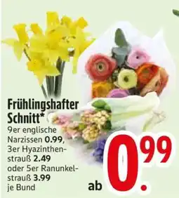 Edeka Frühlingshafter Schnitt Angebot