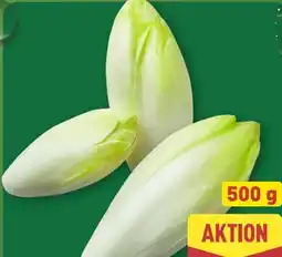 Aldi Nord Chicoree Angebot